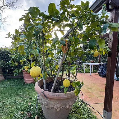 La Limonaia Di Vanna * Impruneta