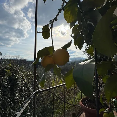 Vakantiehuis La Limonaia Di Vanna Impruneta
