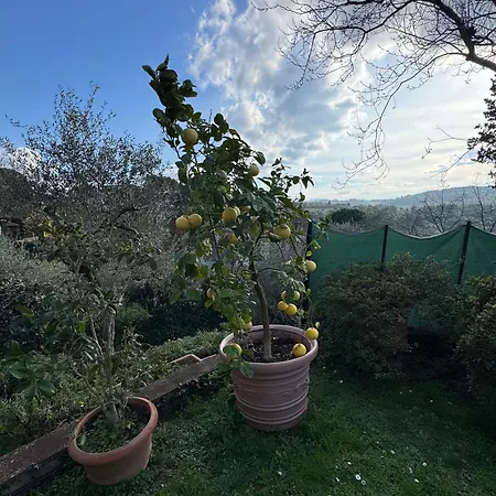 La Limonaia Di Vanna Vakantiehuis Impruneta