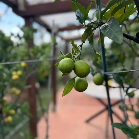 La Limonaia Di Vanna Vakantiehuis Impruneta