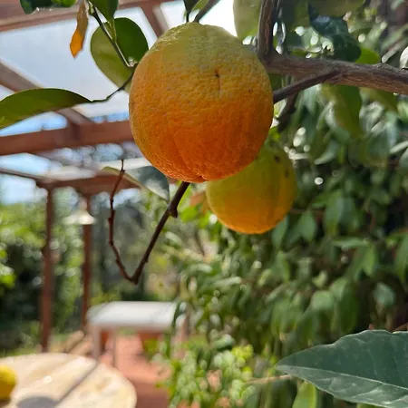Vakantiehuis La Limonaia Di Vanna Impruneta