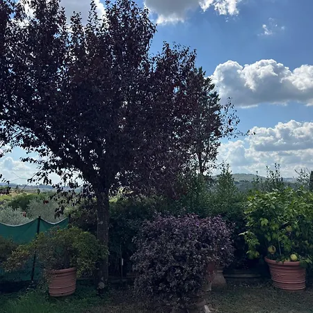 La Limonaia Di Vanna