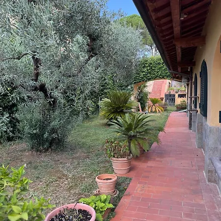 La Limonaia Di Vanna Impruneta